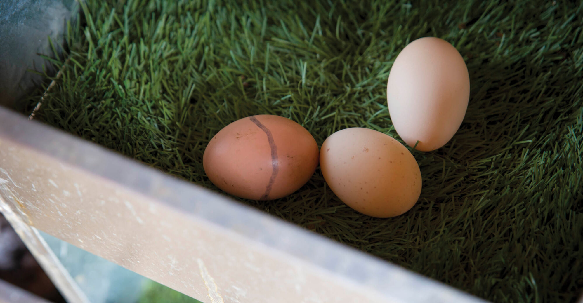 Egg costs